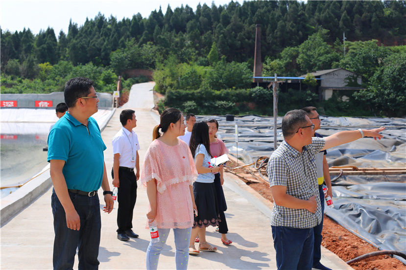集團第一檢查組檢查杰陽排水公司、固廢處置公司安全防汛和環(huán)保達標各項工作3_副本